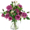 Mark Roberts Roses In Multi
