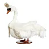 Mark Roberts Royal Swan 30.5