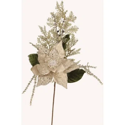 Mark Roberts Spring Multi Jeweled Poinsettia 26" Stem In Champagne