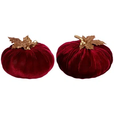 Mark Roberts Velvet Pumpkin Decorative Accent In Burgundy
