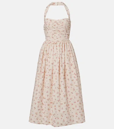 Markarian Leia Floral Pleated Cotton Midi Dress In Neutral