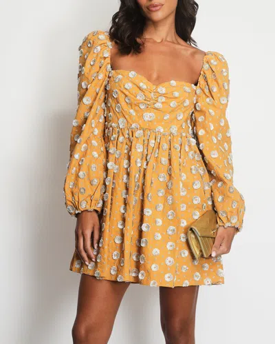Markarian Mustard Long Sleeve Mini Dress With Silver Embroideries In Yellow