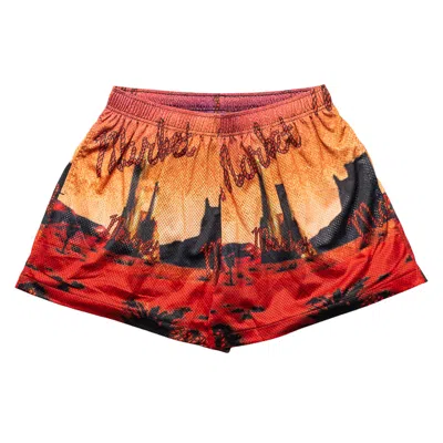 Pre-owned Market Desert League Mesh Shorts 'multicolor' | Multi-color | Men's Size L