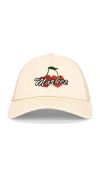 Market Double Cherries Trucker Hat In Brown