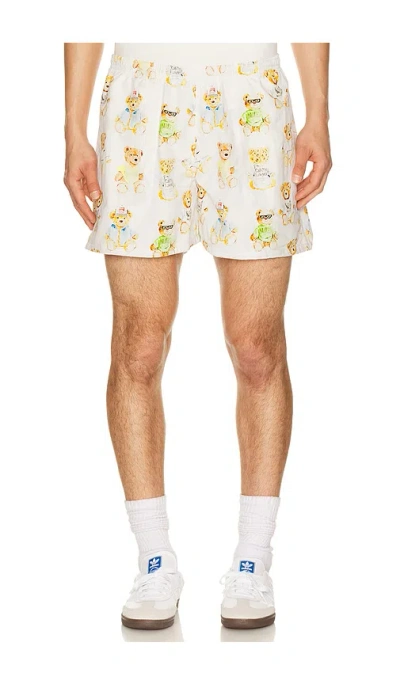 Market Teddy Tech Shorts In Multi