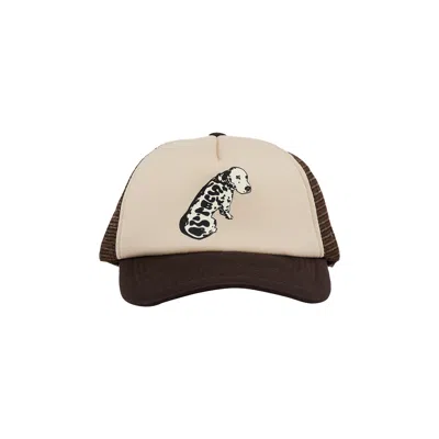 Pre-owned Market X Sublime Garden Grove Dog Trucker Hat 'brown'