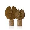 Marleth Gold / Brown Set Of Two Aged Gold Moss Leaf Decor