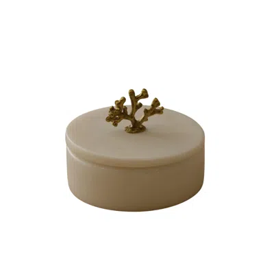 Marleth Ocean Coral Marble Storage Box – Bronze & White