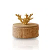 Marleth Women's Neutrals / Gold Handmade Travertine Storage Box With Brass Coral Handle, Ribbed Base