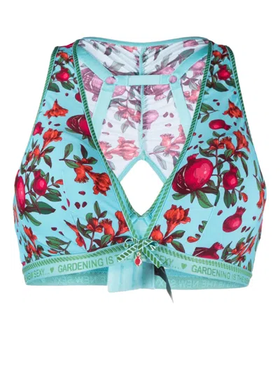 Marlies Dekkers Forbidden Fruit Push-up Bra In Blue