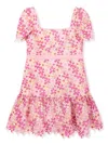 Marlo Floral-embroidered Flared Dress In Pink