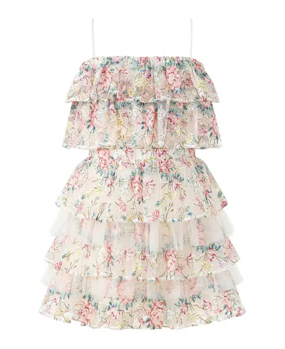 Marlo Girls' Reign Frill Embroidered Mini Dress - Little Kid, Big Kid In Gray