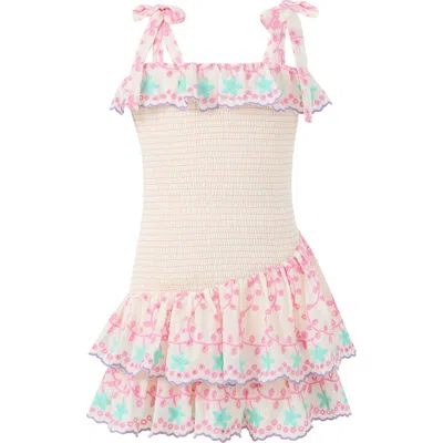 Marlo Kids Alanna Shirred Embroidered Mini Dress In Multi