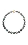 Marlo Laz The Phoebe 14k Yellow Gold Pearl Necklace In Dark Grey