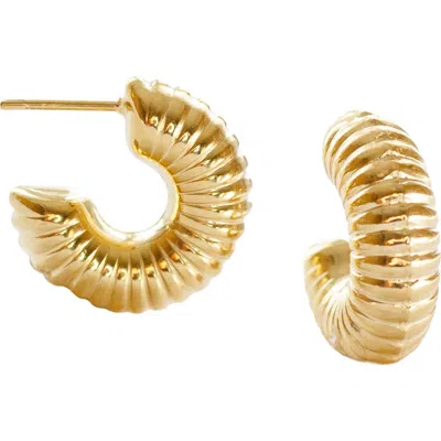 Marlyn Schiff Rya Hoop Earrings In Gold