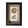 Marmol Gallery Butterfly Duck - Framed Wall Art