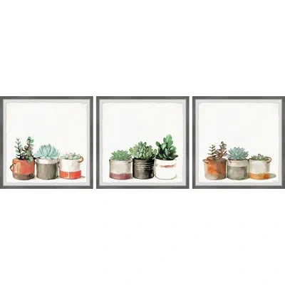 Marmont Hill A Cup Of Cactus By  - 3 Piece Picture Frame Painting Set In Brown;green;orange