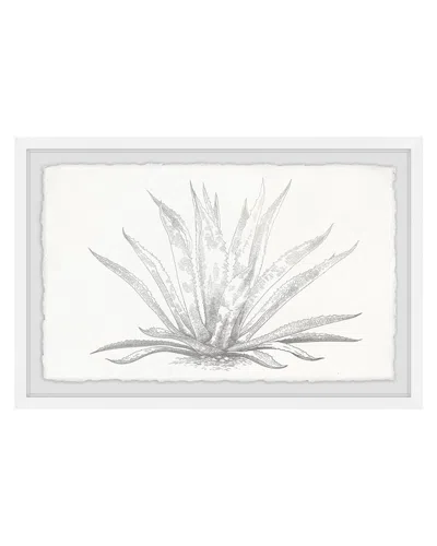 Marmont Hill Agave Desmettiana Ii Framed Painting Print