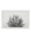 Marmont Hill Agave Ii