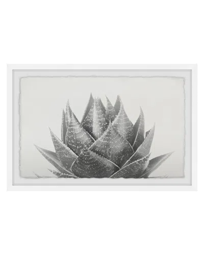 Marmont Hill Agave Ii