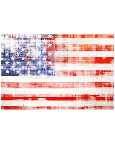 Marmont Hill American Flag