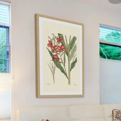 Marmont Hill "antique Floral Iii" Framed Print In Brown;green;red