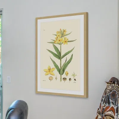 Marmont Hill "antique Floral Viii" Framed Print In Brown;green;yellow