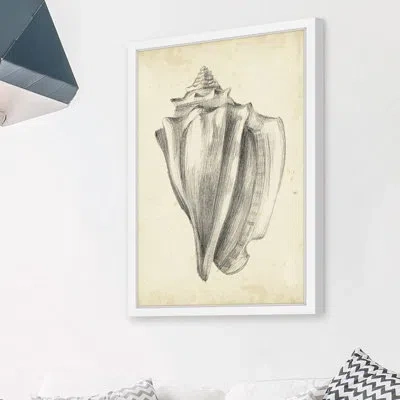 Marmont Hill 'antique Shell Study Iv' Framed Painting Print In Beige