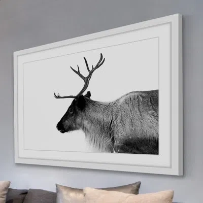 Marmont Hill 'antler Profile' Framed Photographic Print On Paper In White Framed