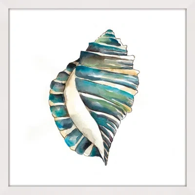 Marmont Hill "aquarelle Shells I" Framed Print In Blue;green;gray