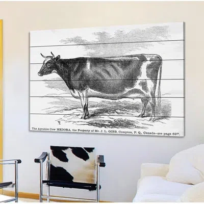Marmont Hill 'ayrshire Cow' Graphic Art Print On Wood In Black;white