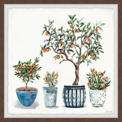 Marmont Hill Beautiful Flower Pot By  - Picture Frame Print On Paper In Blue;green;orange