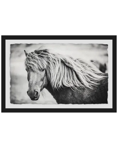 MARMONT HILL MARMONT HILL BEAUTIFUL MANE