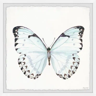 Marmont Hill Blue And Pink Butterfly By  - Picture Frame Print