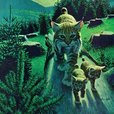 Marmont Hill "bobcat Family" Print On Wrapped Canvas In Green