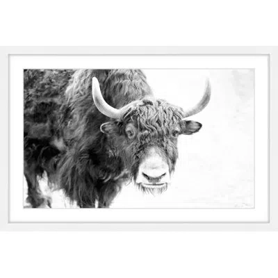 Marmont Hill 'buffalo Forward' Framed Print On Paper In White Framed