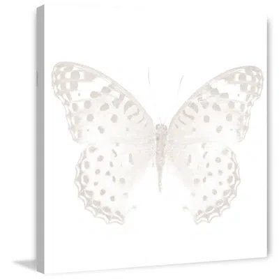 Marmont Hill 'butterfly' Painting Print On Wrapped Canvas In Brown;white