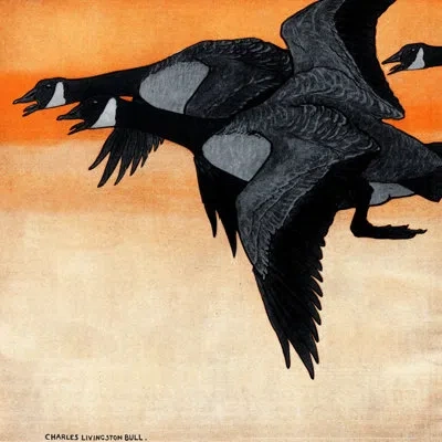 Marmont Hill 'canadian Geese' Painting Print On Wrapped Canvas In Brown;gray