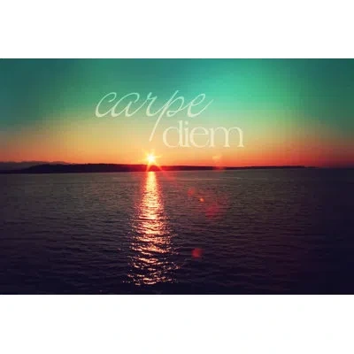 Marmont Hill 'carpe Diem' By Sylvia Cook Painting Print On Wrapped Canvas In Green;orange