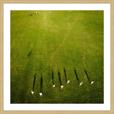 Marmont Hill 'casting Shadows' -  Picture Frame Photographic Print On Paper In Green
