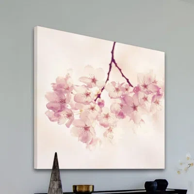 Marmont Hill Cherry Blossoms By Sylvia Cook - Wrapped Canvas Graphic Art Print In White;pink