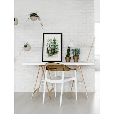 Marmont Hill ''christmas Tree Found'' Framed Print In Black;brown;green