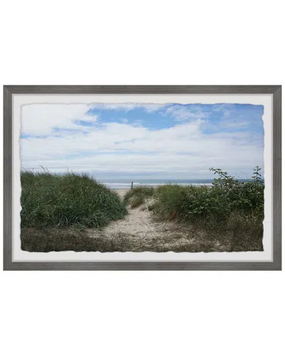 Marmont Hill Coastal Vegetation Framed Print Wall Art In Multicolor