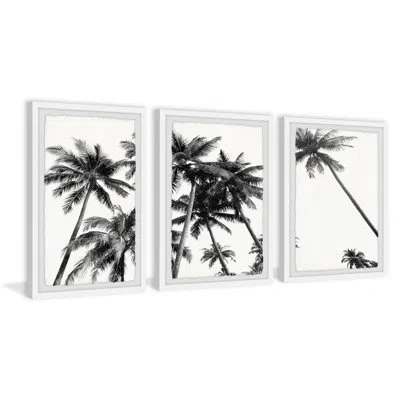 Marmont Hill Coco Palm Trees By  - 3 Piece Picture Frame Photograph Set In Black;gray