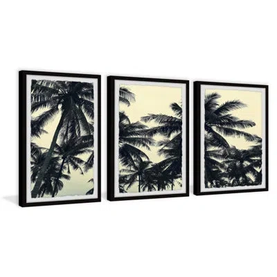 Marmont Hill Coconut Palm Leaves By  - 3 Piece Picture Frame Photograph Set In Black;ivory