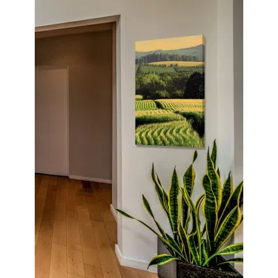 Marmont Hill 'corn Rows' By Don Schwartz Painting Print On Wrapped Canvas In Green