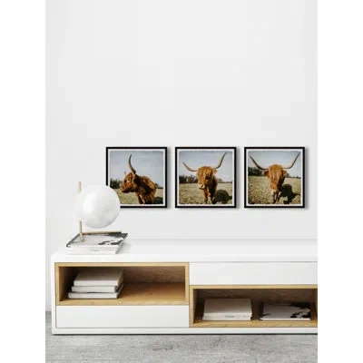 Marmont Hill Cow Pose - 3 Piece Picture Frame Photograph Set In Blue;brown;white;green