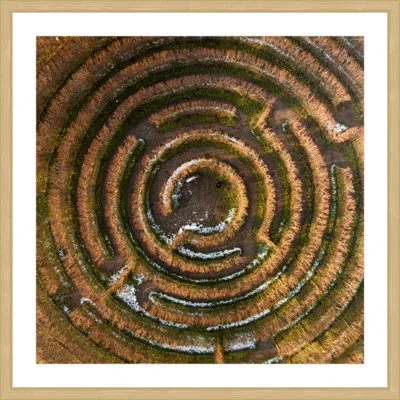 Marmont Hill 'crop Circle' By Karolis Janulis Framed Photographic Print In Brown;green