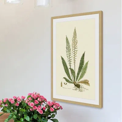 Marmont Hill "curtis Ferns Iii" Framed Print In Green;ivory