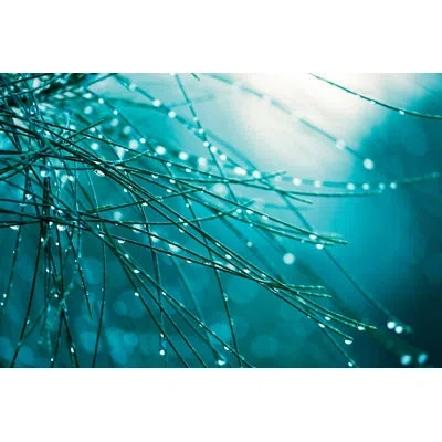 Marmont Hill 'dew Delicacy' By Morgan J Hartley Painting Print On Wrapped Canvas In Blue